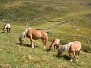 Passo Tartano e Laghi di Porcile il 18 agosto 2012 - FOTOGALLERY